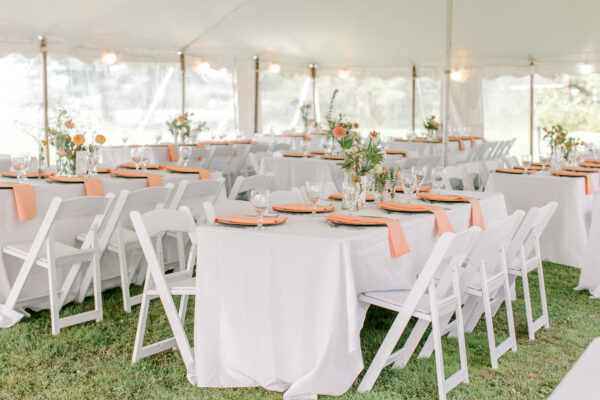 Image of white folding padded chair rentals