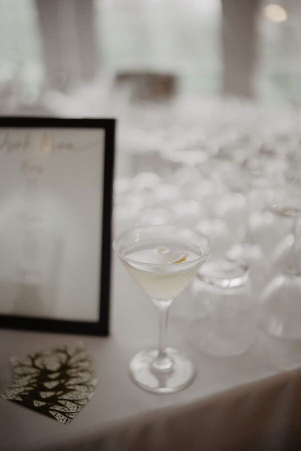 Image of martini glass rental