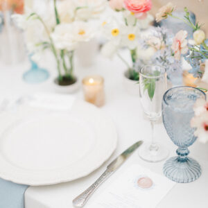 image of dusty blue goblet rentals