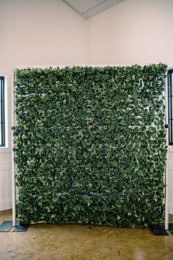 Fern Backdrop Wall Rental - Image 3