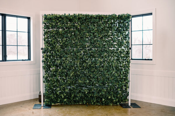 Fern Backdrop Wall Rental