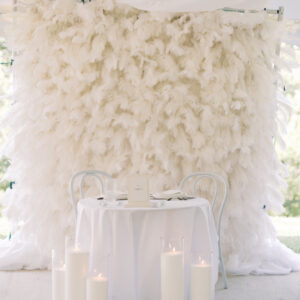 White Feather Backdrop Wall Rental