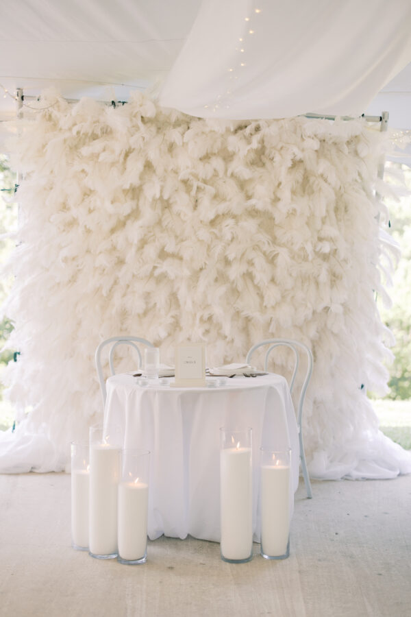 White Feather Backdrop Wall Rental