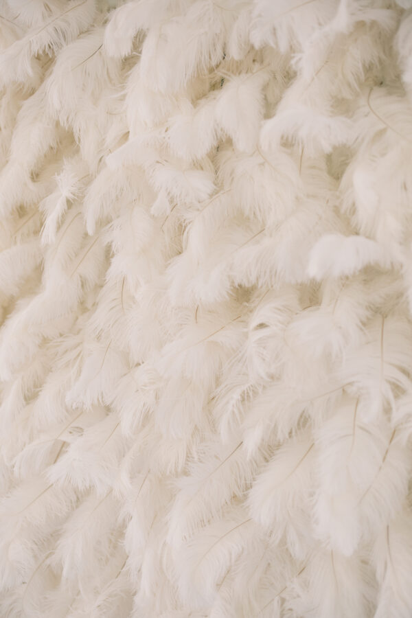 White Feather Backdrop Wall - Image 4