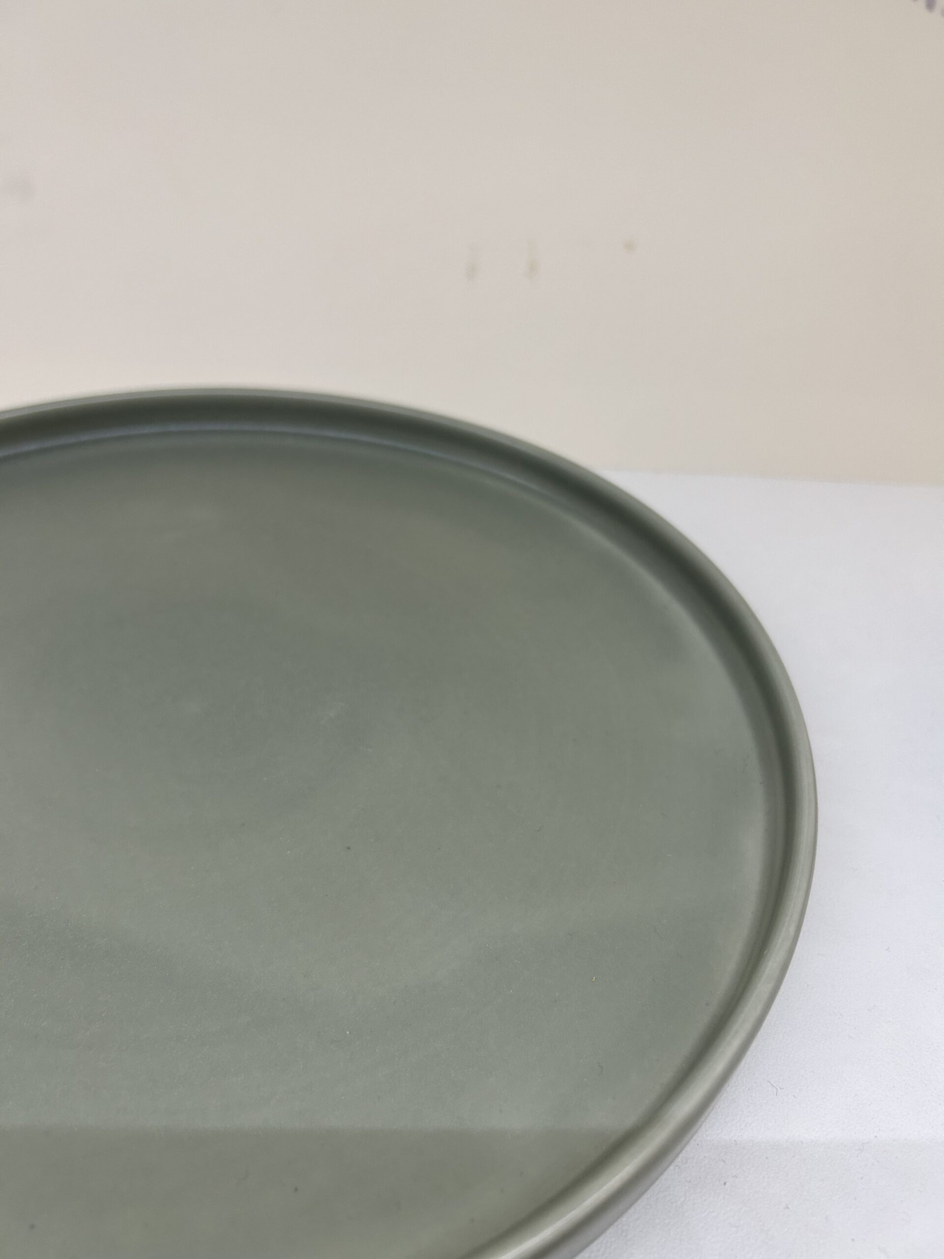 Modern Sage Stoneware Plate Rentals A to Z Event Rentals, LLC.