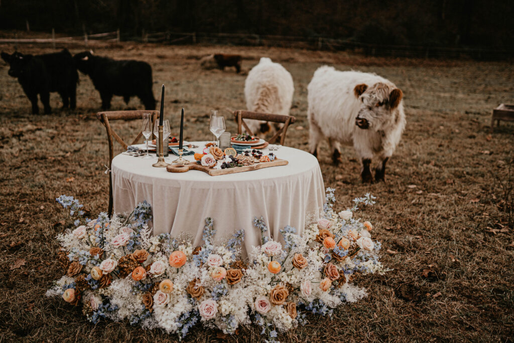 image of sweetheart table with cows