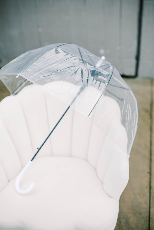 image of clear umbrella rental