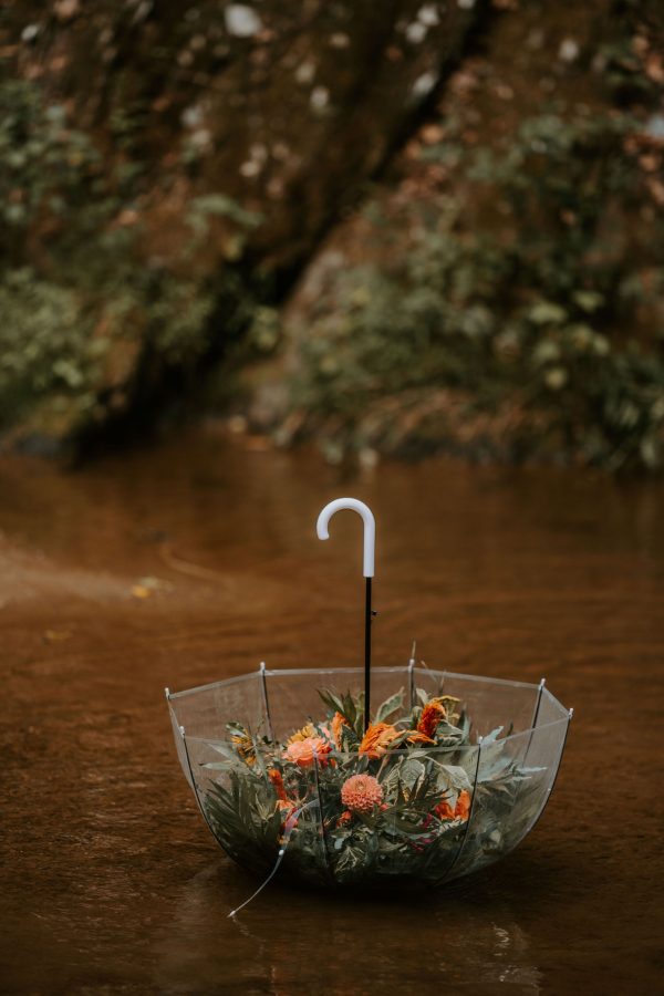 image of clear umbrella rental with flowers