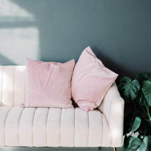 blush velvet throw pillow