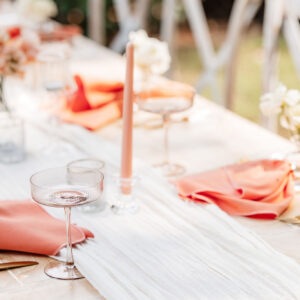 image of taupe fluted champagne coupe rental on table