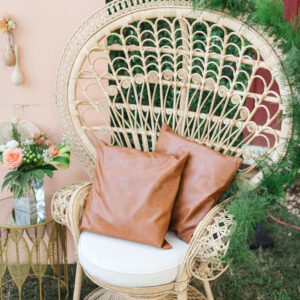 image of peacock chair rental