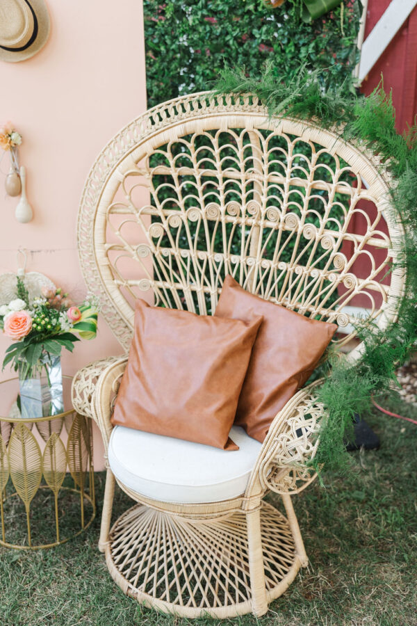 image of peacock chair rental