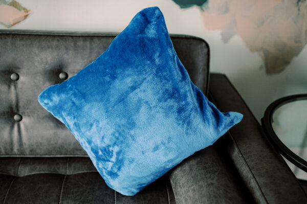 Daniel Throw Pillow Rental