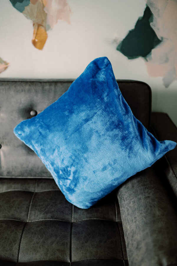 Daniel Throw Pillow Rental