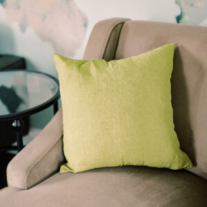 Pear Throw Pillow Rental