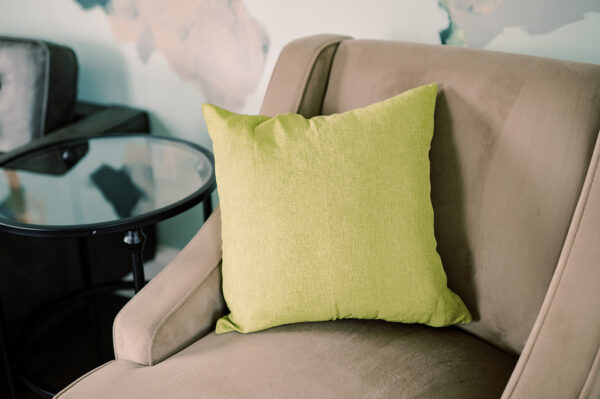 Pear Throw Pillow Rental