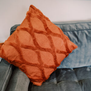 Gaia Throw Pillow Rental