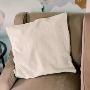 Light Green Throw Pillow Rental