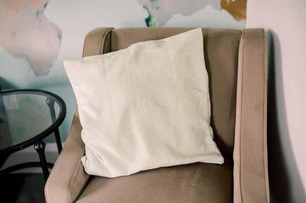 Light Green Throw Pillow Rental