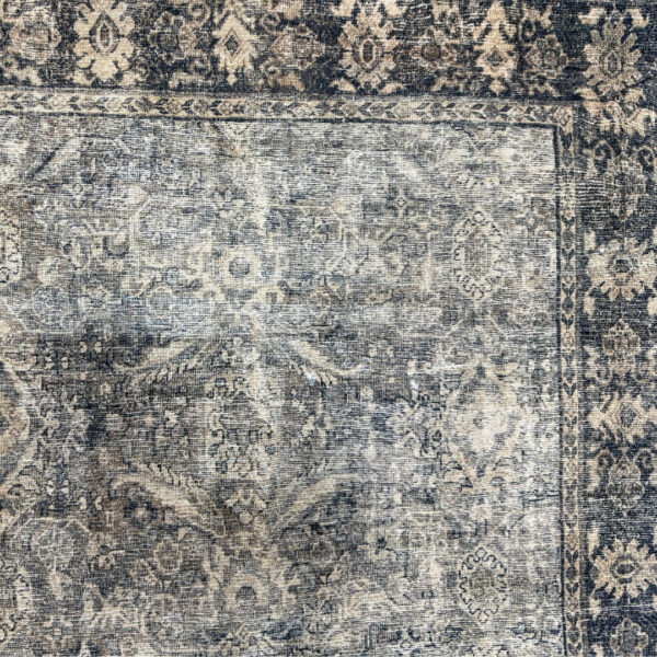 Andrea Rug Rental - Image 2