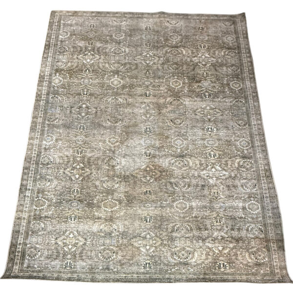 Brewer Rug Rental