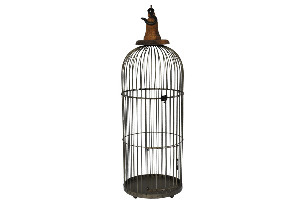 image of gander bird cage rental