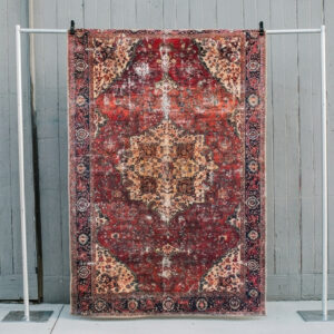 image of Regina rug against a wooden wall