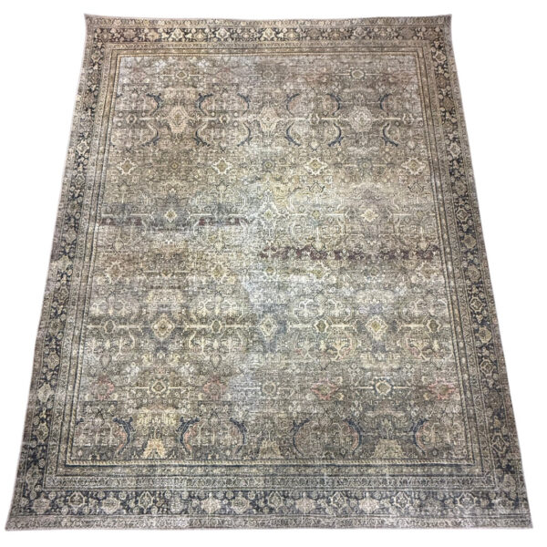 Neville Rug Rental