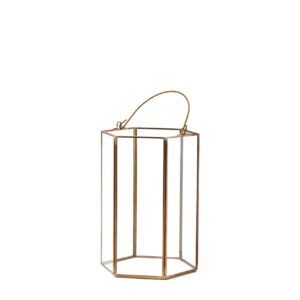 image of Jackie Lantern