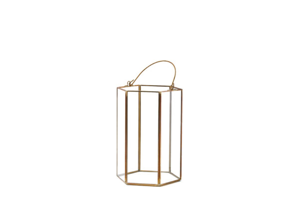 image of Jackie Lantern