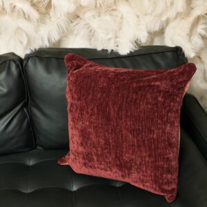 Velvet red throw pillow.