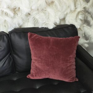 deep red velvet pillow on couch