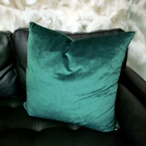 Dark green velvet throw pillow.
