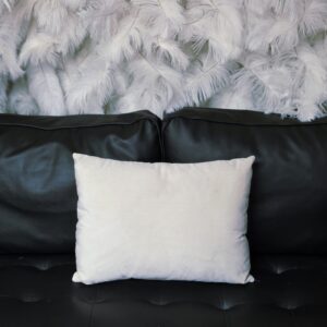 Small ivory, velvet throw pillow.