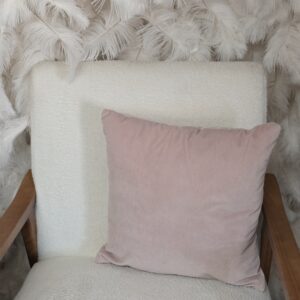 Light pink velvet throw pillow.