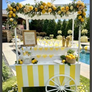 yellow stripped cart with roof and wheels